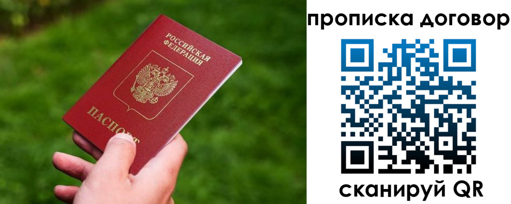 прописка гарантия в Заинске